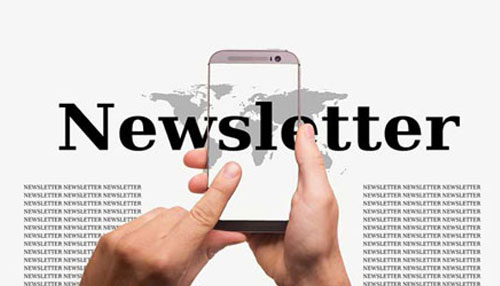 newsletter marketing digital